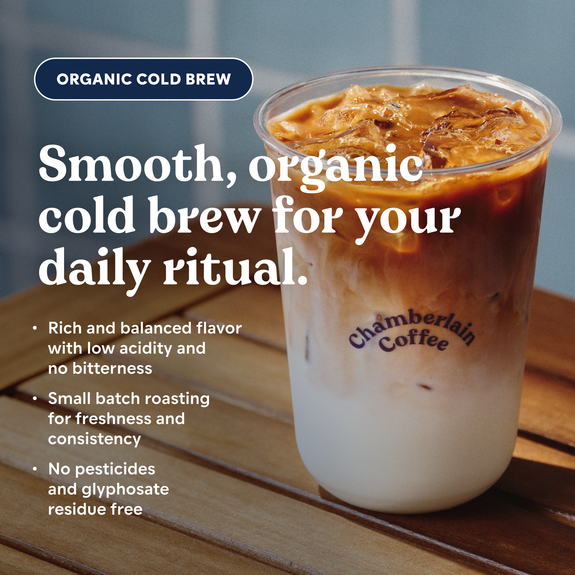 Organic Cold Brew Elephant Large Coffee Bags